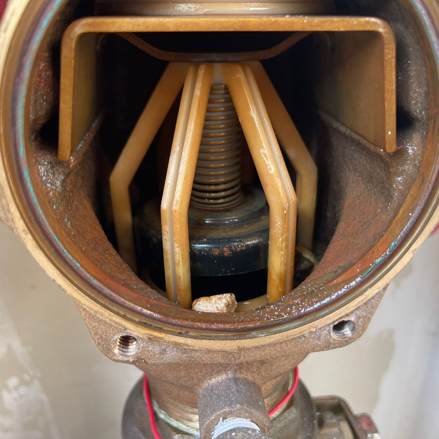Industrial valve internals